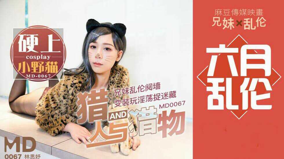 成人黄色小视频,WWW。色色