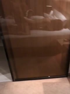 女人高潮喷浆毛片视频,岛国Av免费看网站