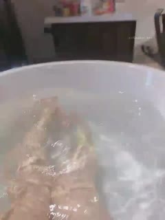 免费在线播放无码黄色片,国产电影精品久久电影院