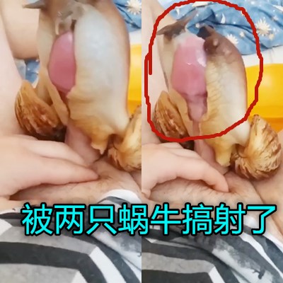 夜夜嗨一区二区免费看