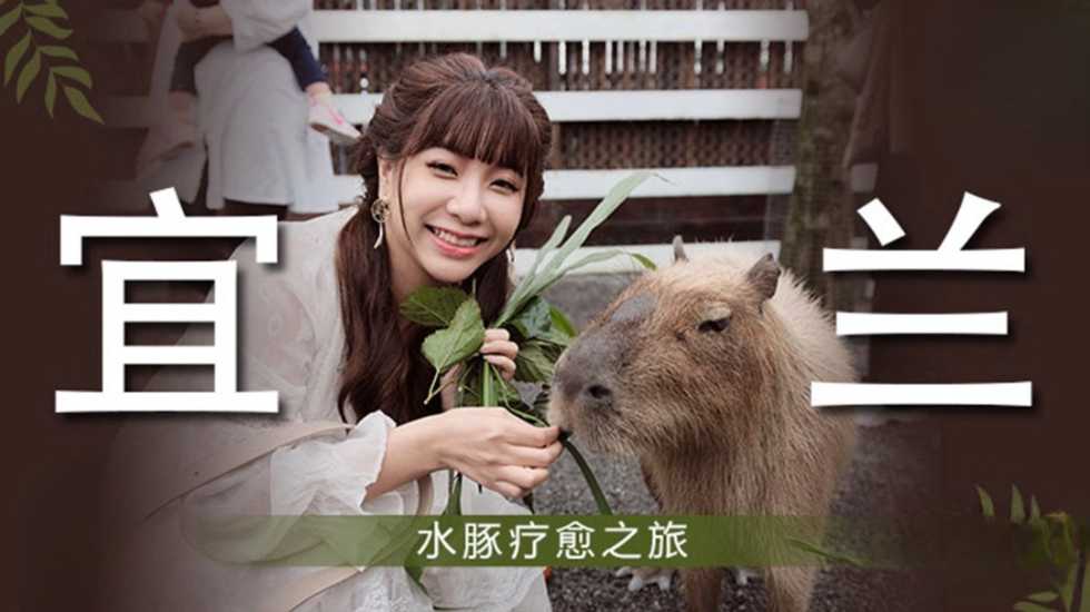 网友自拍视频导航,熟女 一区二区